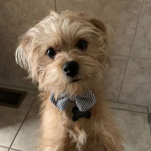 Meet your Posher, Malisa